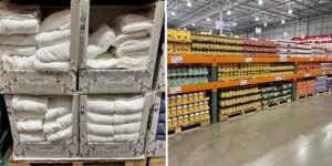 I’ve been a Costco executive member for 11 years. I’ll always buy these 5 products there.