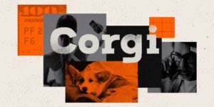 Corgi girls, ugly lawsuits, and cute dogs: Inside a wild  billion startup