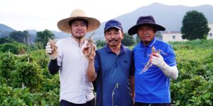 We quit our jobs to travel the world. Now my wife and I run her family’s farm in South Korea.